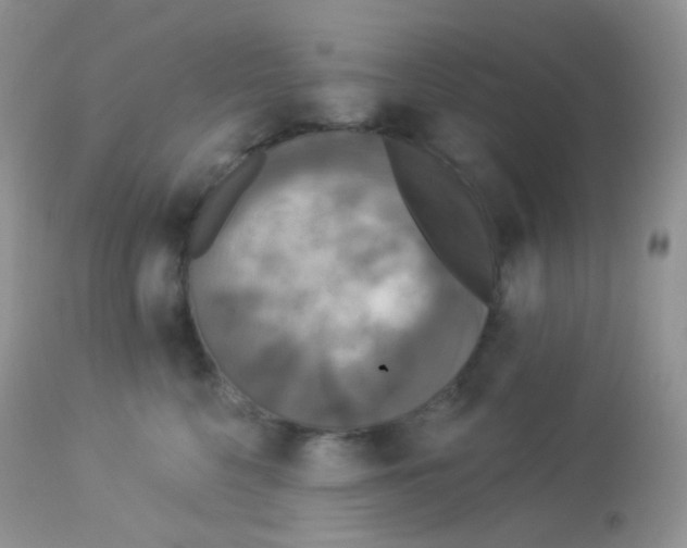 X0000113080568200909182052