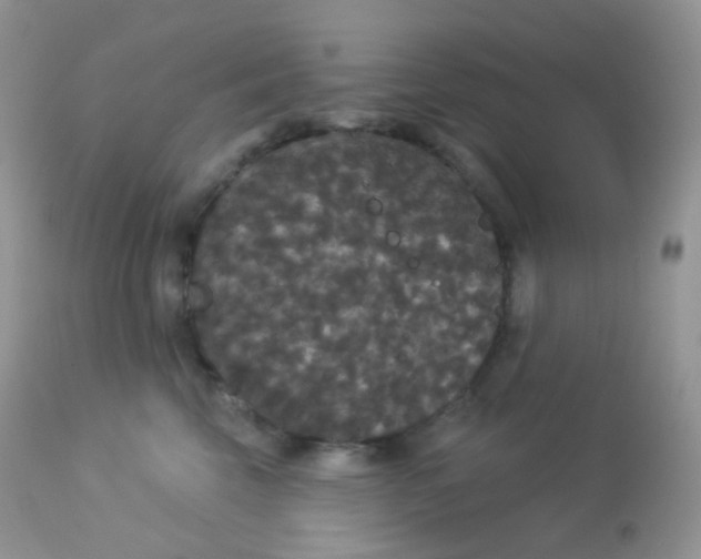 X0000113080569200909182052