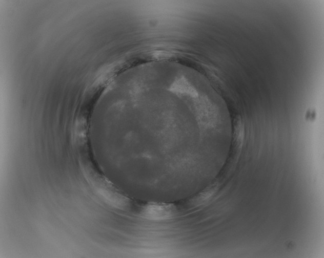 X0000113080571200909182052