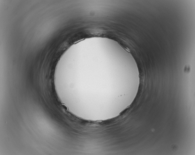 X0000113080572200909182052
