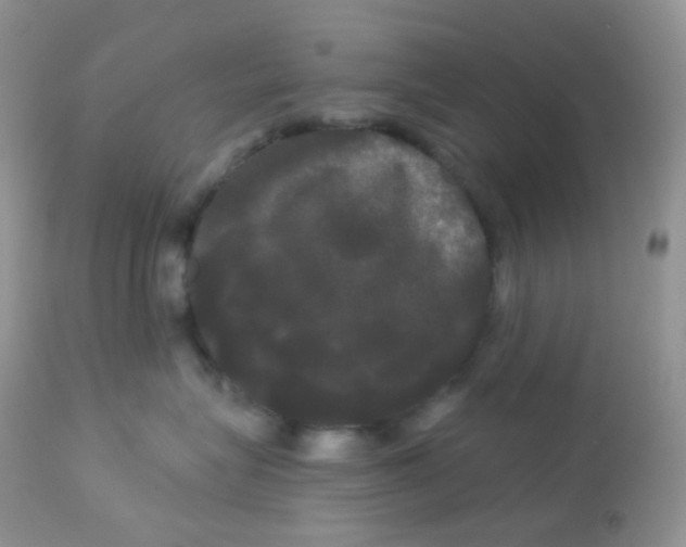 X0000113080575200909182052