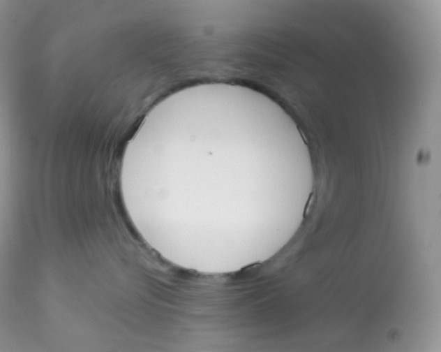 X0000113080576200909182052