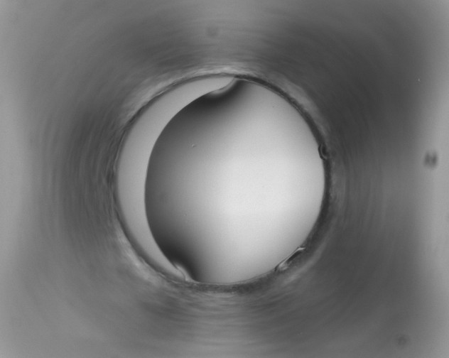 X0000113080577200909182051