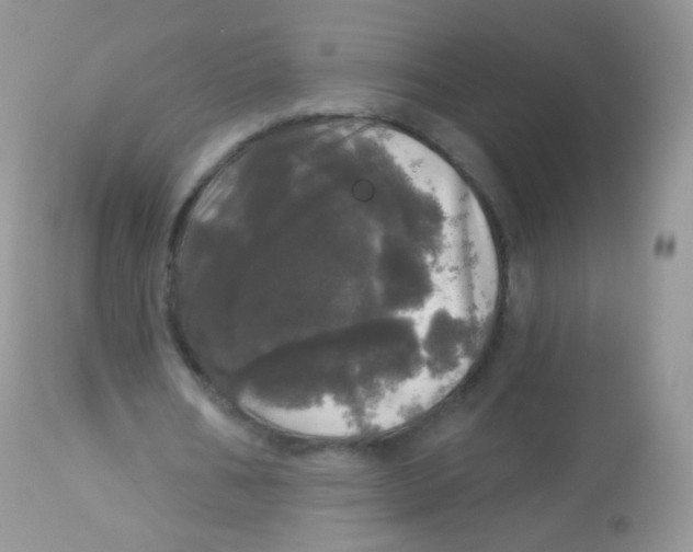 X0000113080578200909182051