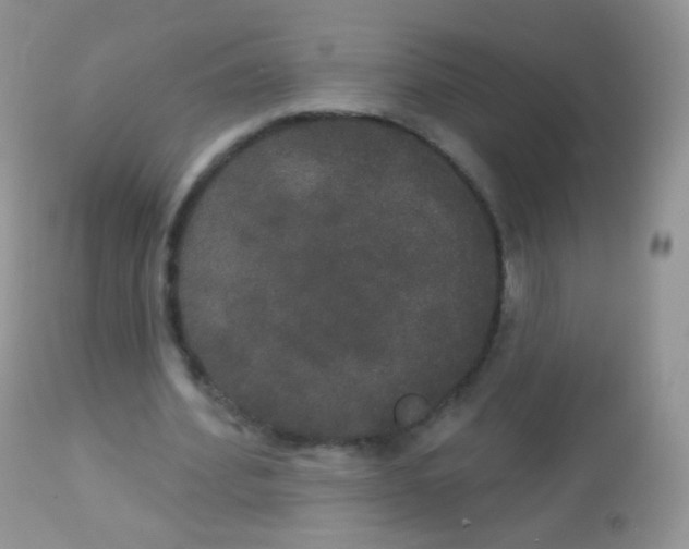 X0000113080580200909182051