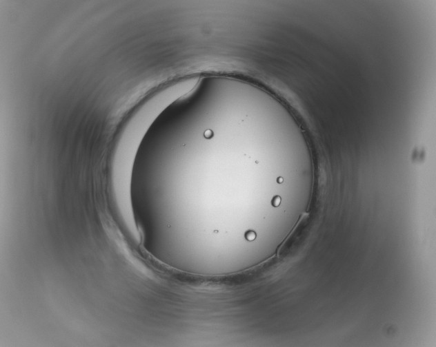 X0000113080581200909182051