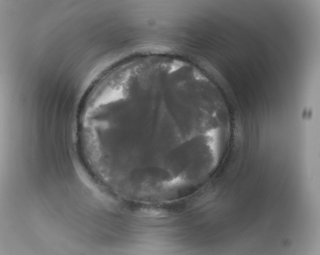 X0000113080582200909182051