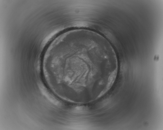 X0000113080584200909182051