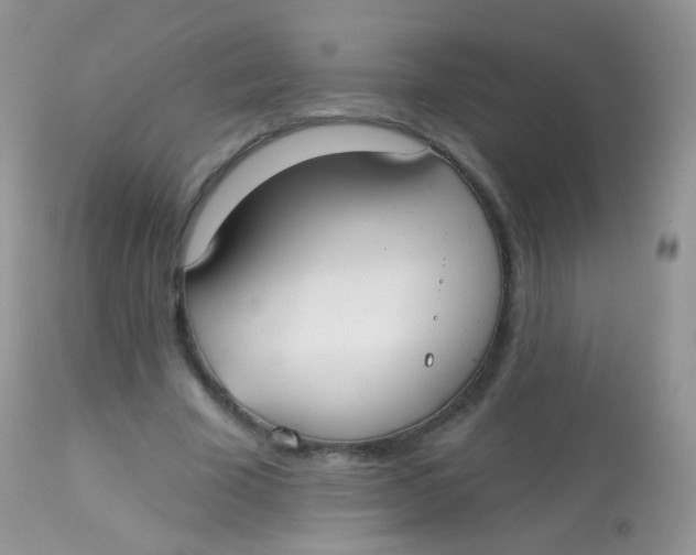 X0000113080585200909182051