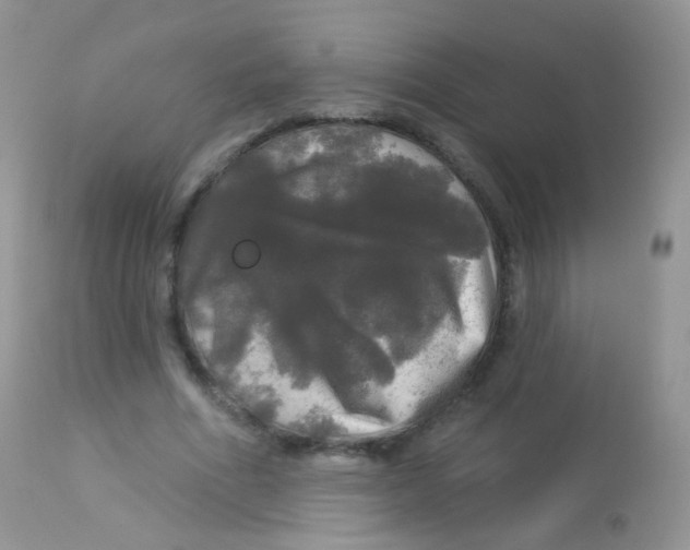 X0000113080586200909182051