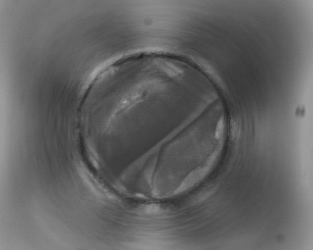 X0000113080588200909182051