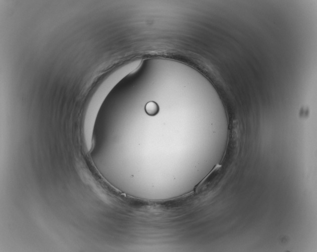 X0000113080589200909182051