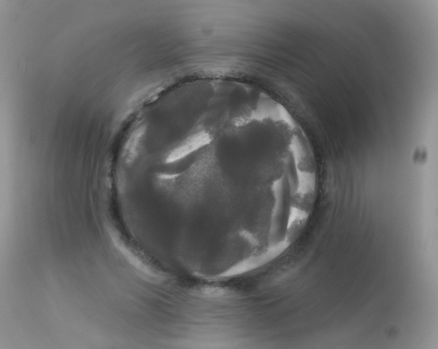 X0000113080590200909182051