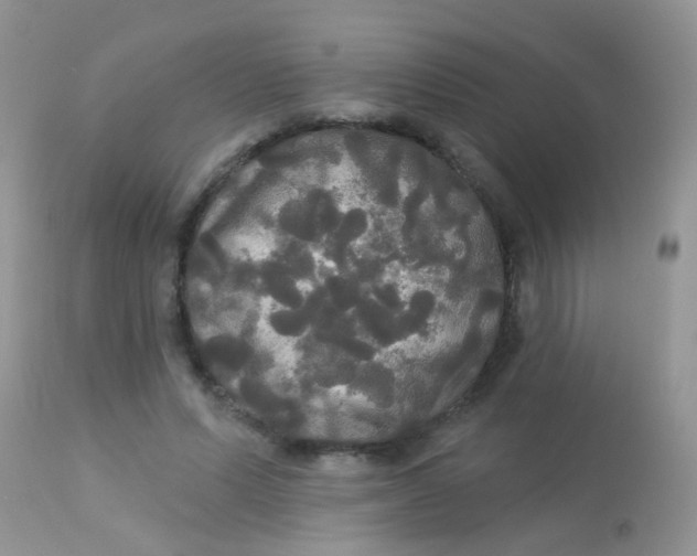 X0000113080591200909182051