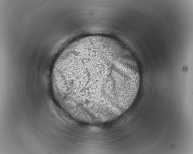 X0000113080592200909182051