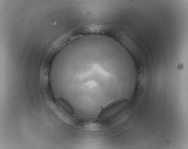 X0000113080593200909182051