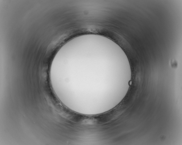 X0000113080595200909182051