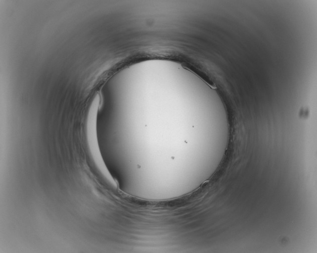 X0000113080596200909182051