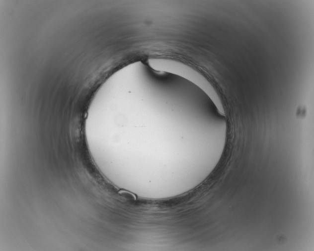 X0000113080597200909182051