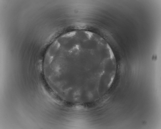 X0000113080598200909182051