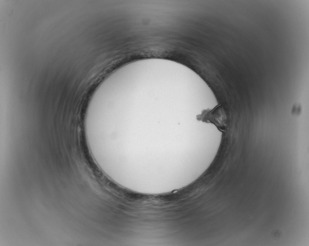 X0000113080599200909182051