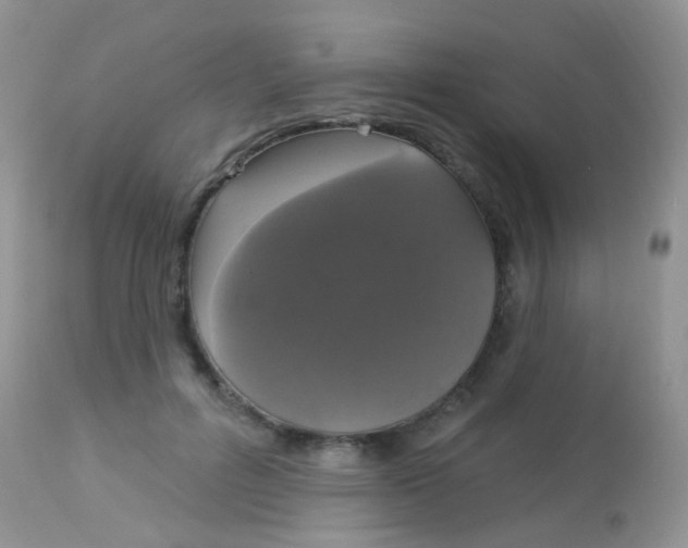 X0000113080600200909182051