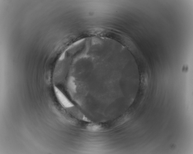 X0000113080602200909182051