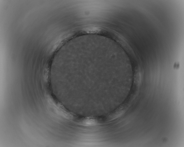 X0000113080604200909182051