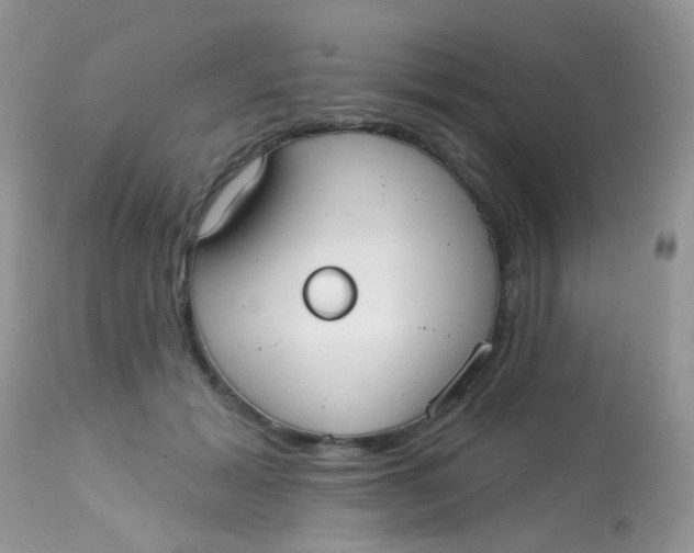 X0000113080605200909182051