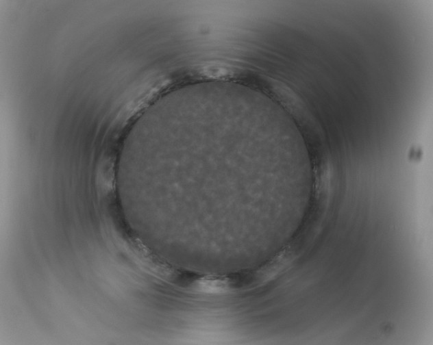 X0000113080606200909182051