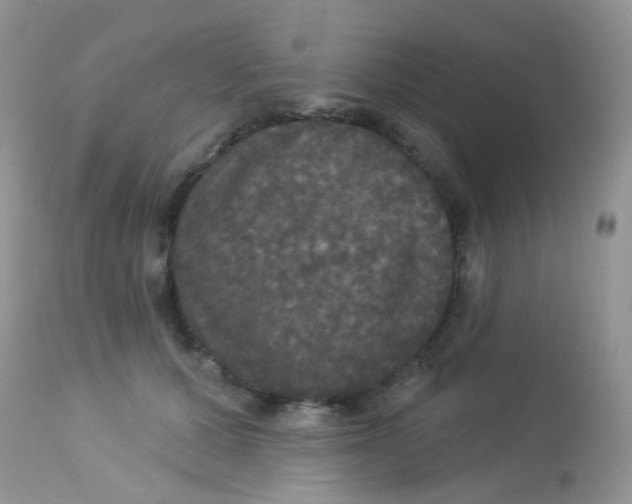 X0000113080607200909182051