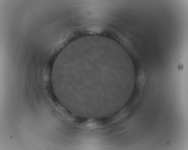 X0000113080608200909182051