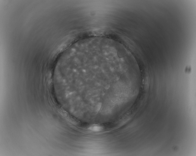 X0000113080610200909182051