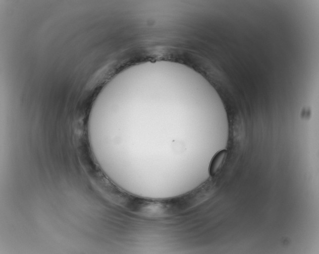 X0000113080611200909182051