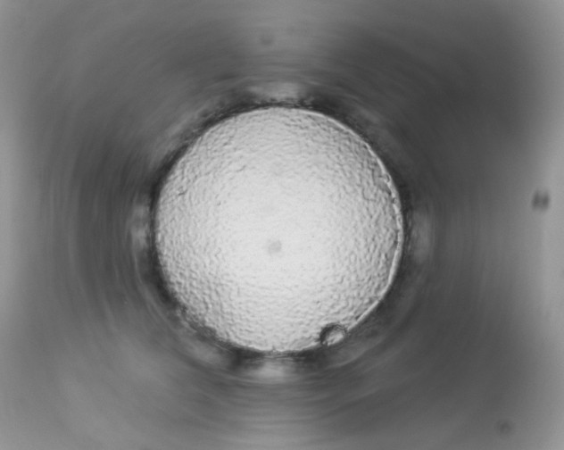 X0000113080612200909182051