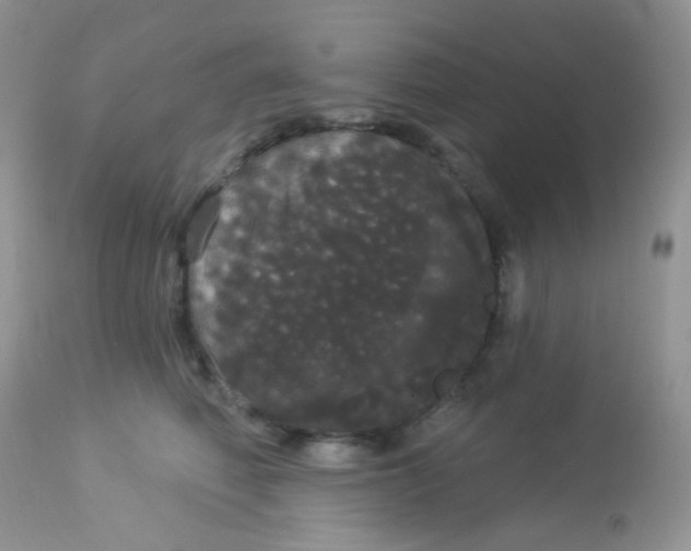 X0000113080614200909182051