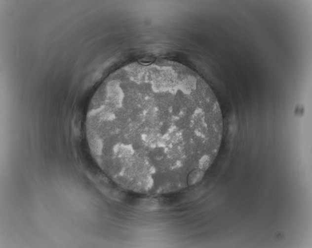 X0000113080615200909182051