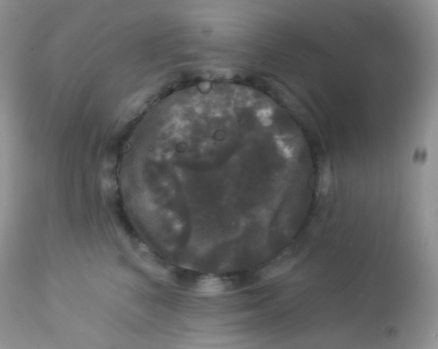 X0000113080616200909182051