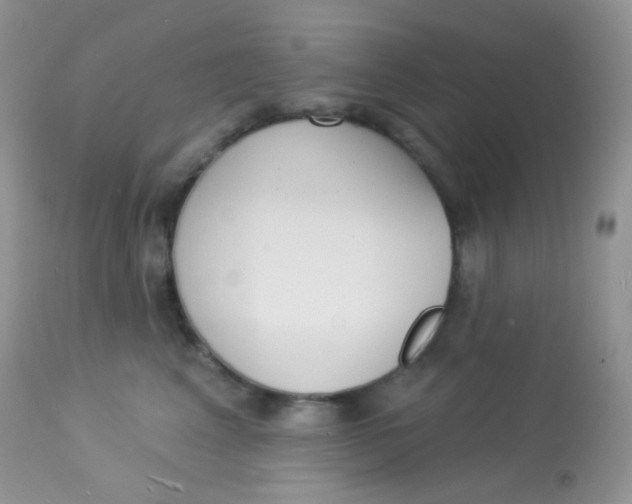 X0000113080617200909182051