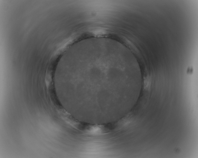 X0000113080618200909182051