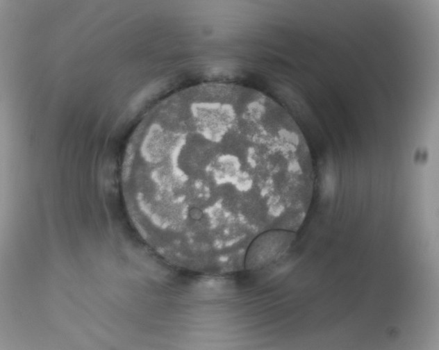 X0000113080619200909182051