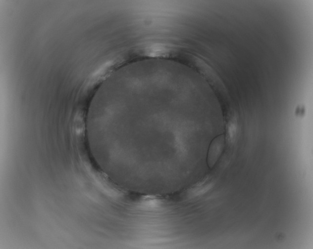 X0000113080620200909182051