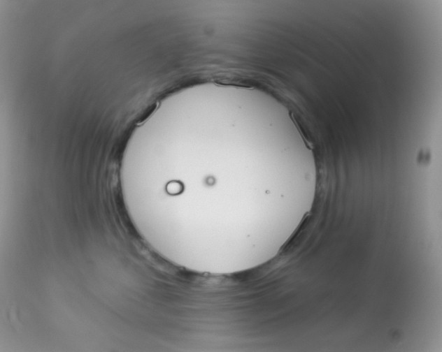 X0000113080621200909182051