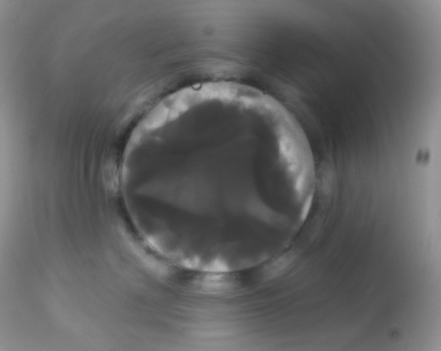 X0000113080622200909182051
