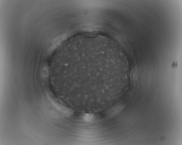 X0000113080623200909182051