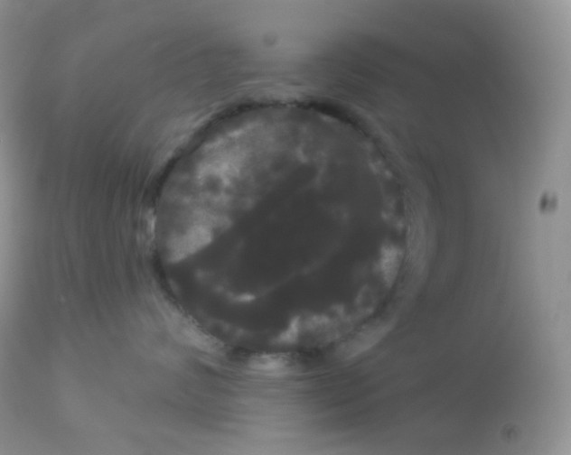 X0000113080624200909182051