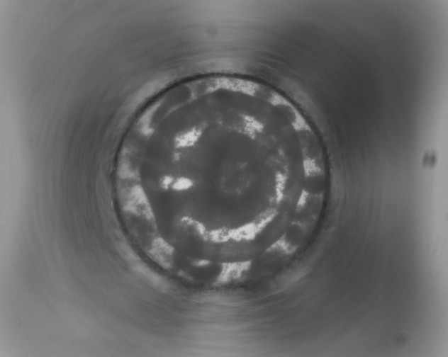 X0000113080625200909182050