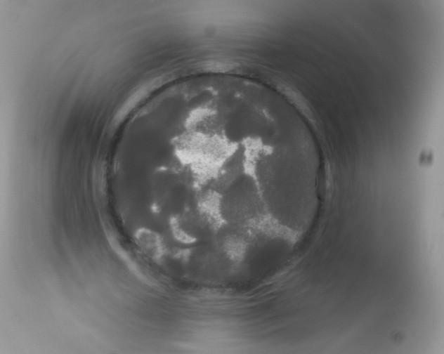 X0000113080626200909182050