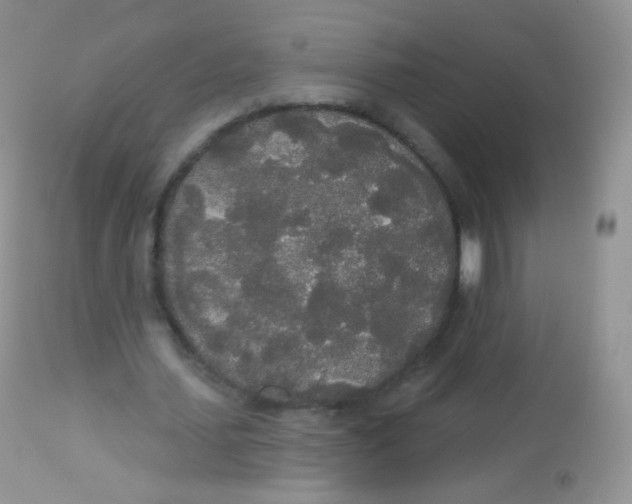 X0000113080627200909182050