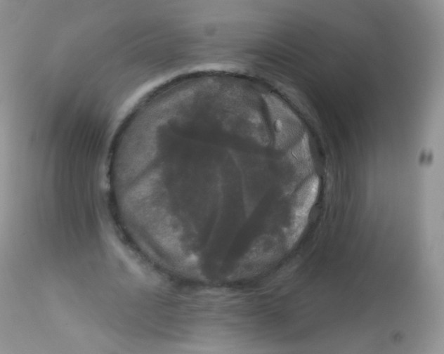 X0000113080628200909182050